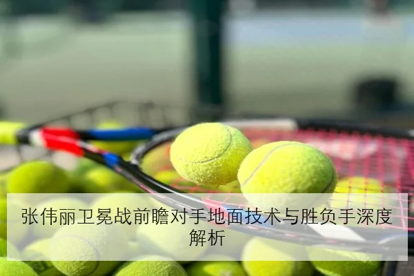 张伟丽卫冕战前瞻对手地面技术与胜负手深度解析
